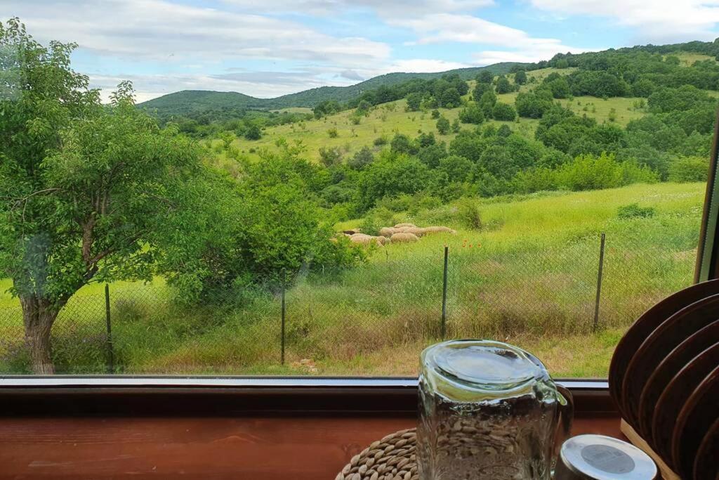 Luxury Villa Bella Lyaskovo Village エクステリア 写真
